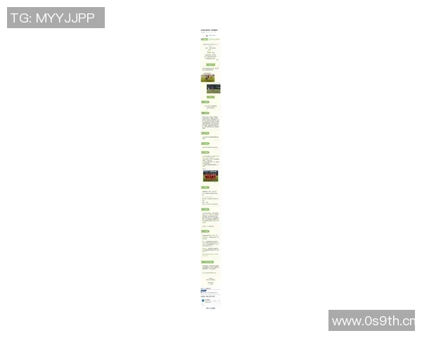 中国足球超级联赛新赛季开幕 赛制革新与球队阵容调整引发热议