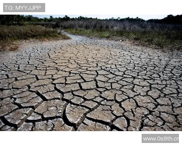 全球气候变化加剧极端天气频发 各国加强应对措施促可持续发展